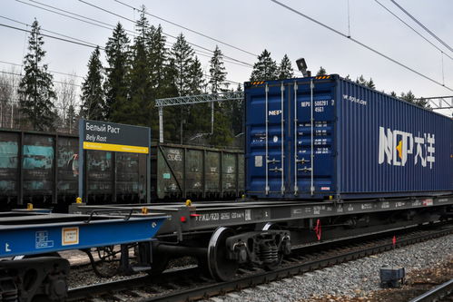 首列北京直達(dá)歐洲的中歐班列抵達(dá)莫斯科州